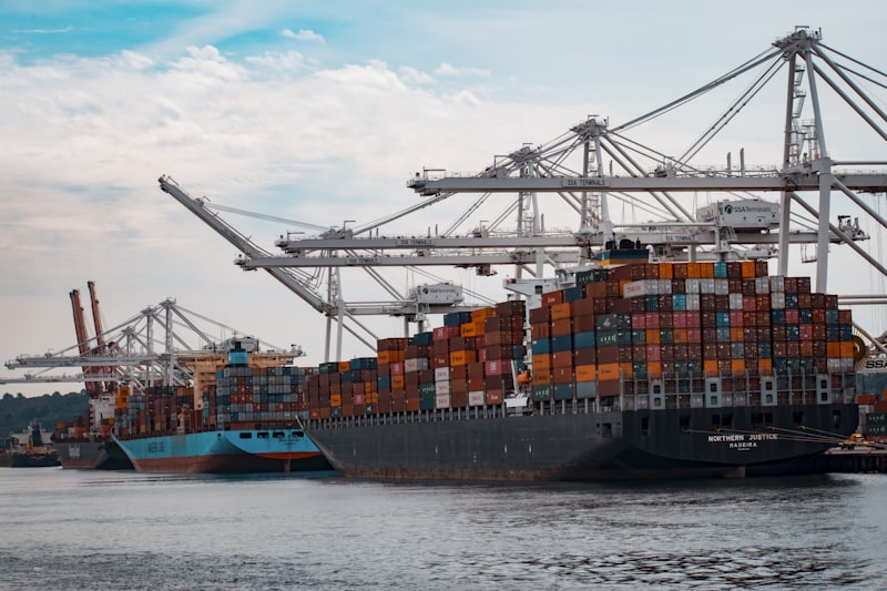 Electronic customs clearance and specialized inspection services